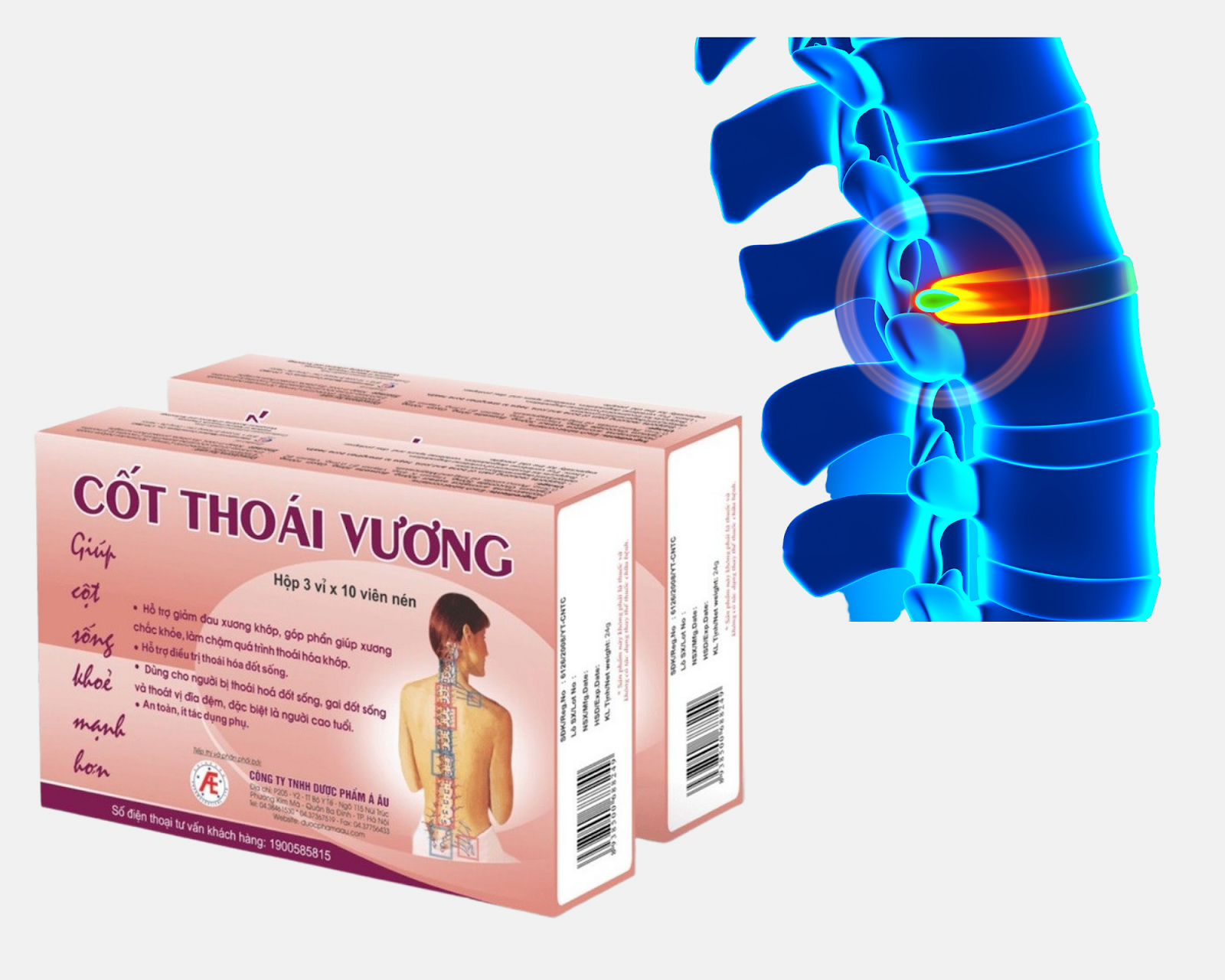 Top 19 Thuốc Chữa Thoát Vị Đĩa Đệm Hiệu Quả Và An Toàn Hiện Nay
